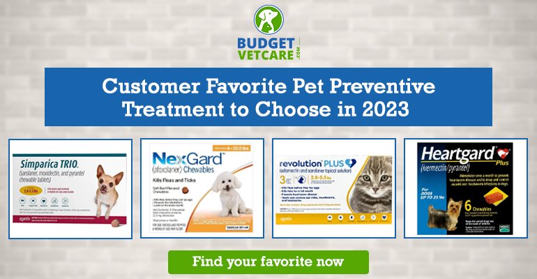 Customer Favorite Pet Preventive Treatment to Choose in 2023
