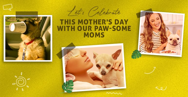 Let's Celebrate this Mother's Day with our Paw-some Moms
