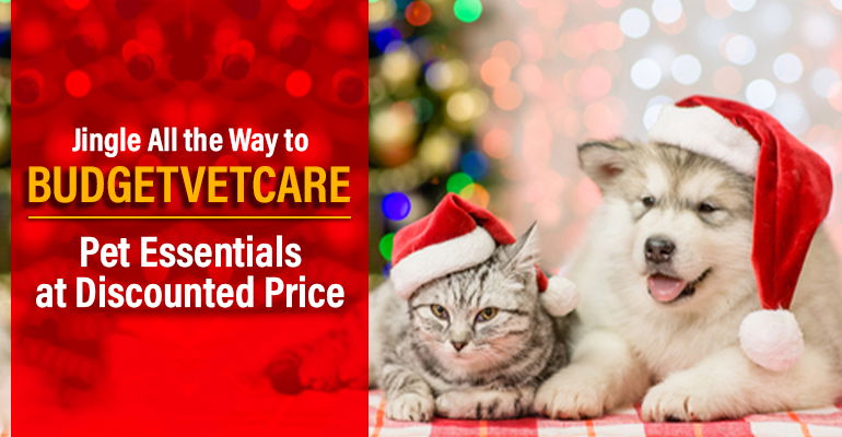 Jingle All the Way to BudgetVetCare: Pet Essentials at Discounted Price