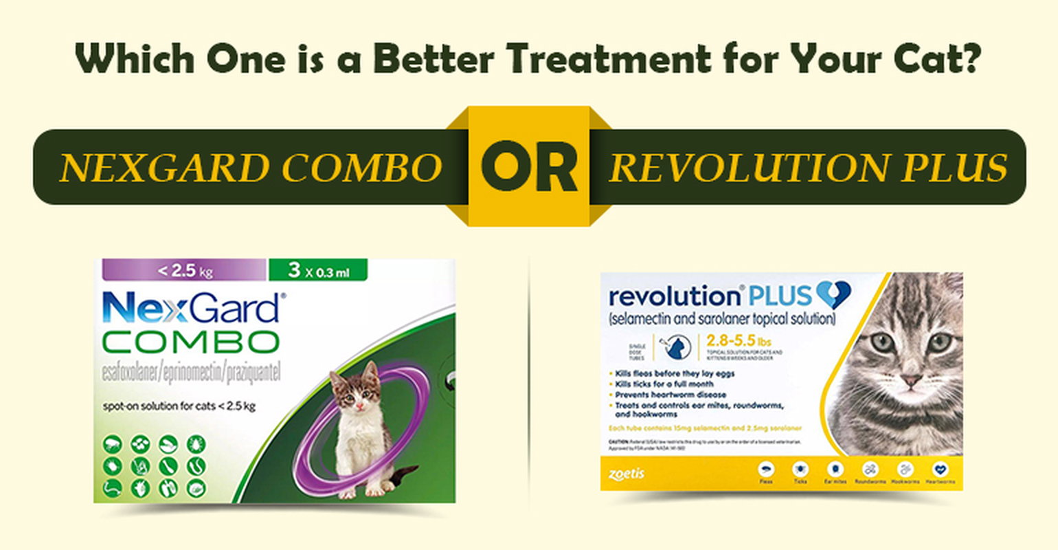 Which One is a Better Treatment for Your Cat, Nexgard Combo or Revolution Plus?