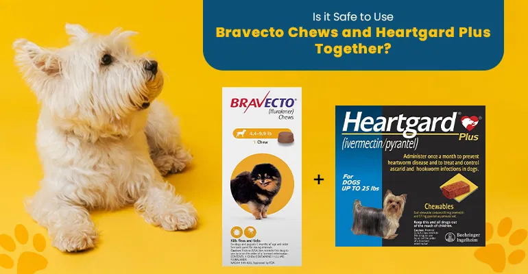 Is it Safe to Use Bravecto Chews and Heartgard Plus Together?