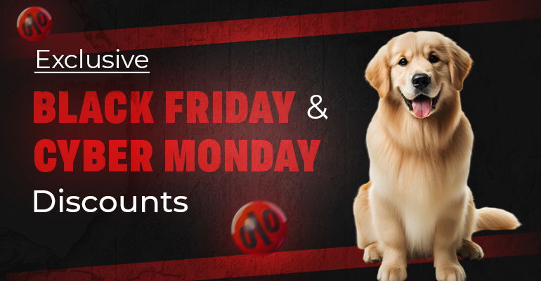 Maximize Savings: Exclusive Black Friday & Cyber Monday Sales at BudgetVetCare