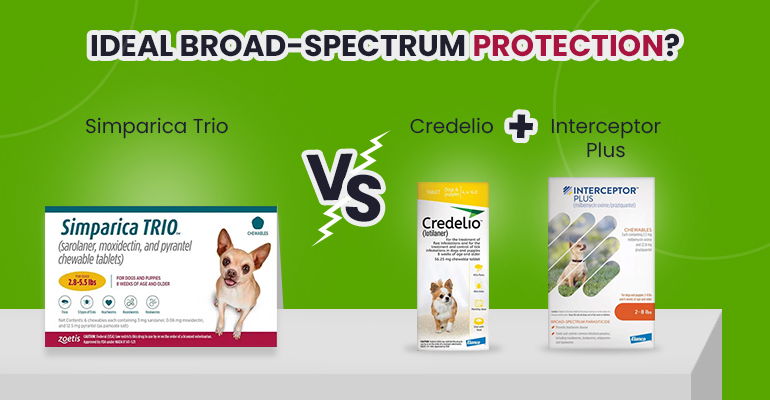 Simparica Trio vs. Credelio and Interceptor Plus: Ideal Broad-Spectrum Protection?