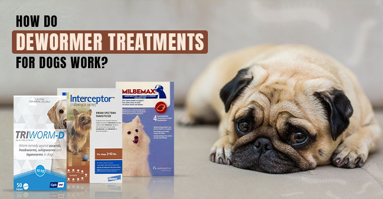 How Do Dewormer Treatments for Dogs Work?