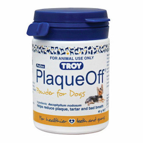 PlaqueOff Dental Powder for Hygiene Supplies