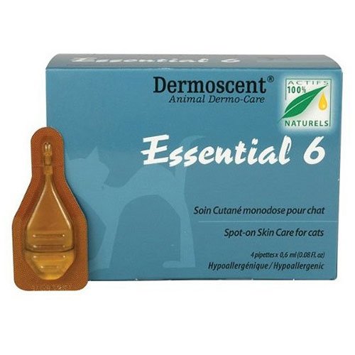 Essential 6 For Cats for Supplements
