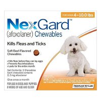 Nexgard Chewables For Small Dogs 2-4kg (4 to 10lbs) Orange
