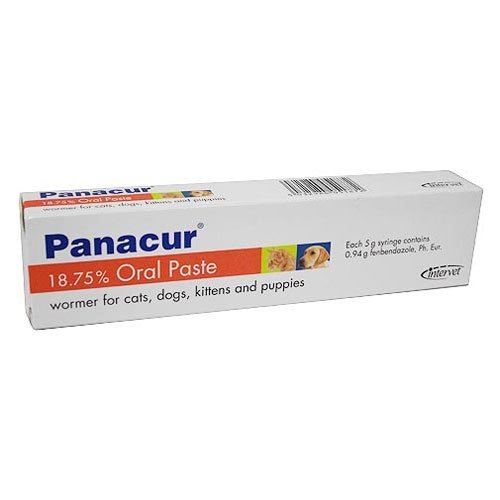Panacur Paste for Dogs and Cats