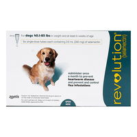 Revolution For Large Dogs 20.1 To 40Kg (Green)