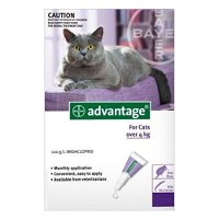 Advantage For Cats Over 4Kg (Purple)