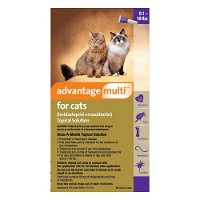 Advantage Multi (Advocate) For Cats Over 4kg (Over 10lbs) Purple