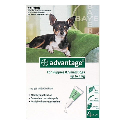 Buy Advantage For Small Dogs Up To 4Kg Green Online