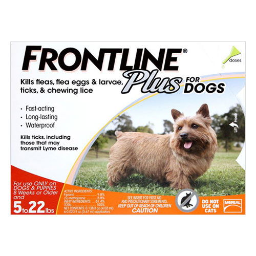 what kills fleas instantly on dogs