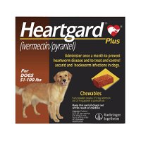 Heartgard Plus Chewables For Large Dog 22-45 kg (51 to 100lbs) Brown