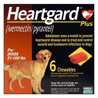 Heartgard Plus Chewables For Large Dog 22-45 kg (51 to 100lbs) Brown