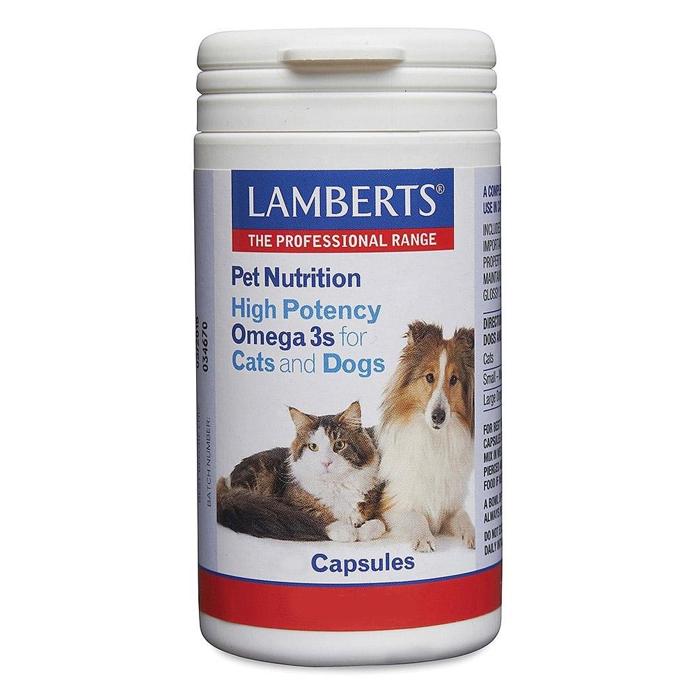 Lamberts High Potency Omega 3s for Dogs and Cats for Supplements
