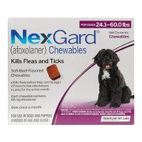 Nexgard Chewables For Large Dogs 10-25kg (24 to 60lbs) Purple