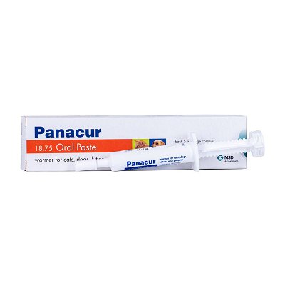 Panacur Paste for Dogs and Cats