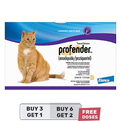 Profender Allwormer Large Cats (1.12 ml) 11-17.6 lbs