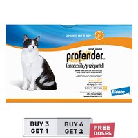 Profender Allwormer Medium Cats (0.70 ml) 5.5-11 lbs