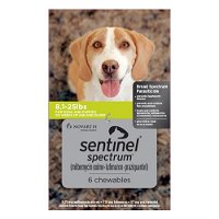 Sentinel Spectrum Tasty Chews For Small Dogs 4-11kg (8 to 25lbs) Green