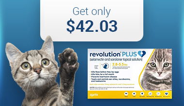 40% off Flea & Tick